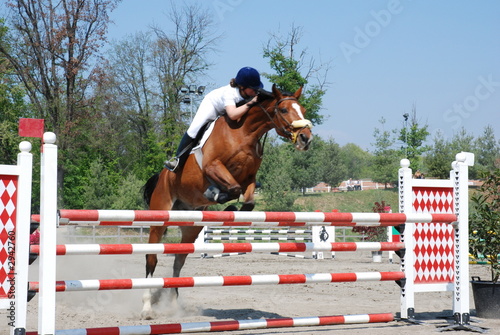 cavallo che salta ostacolo
