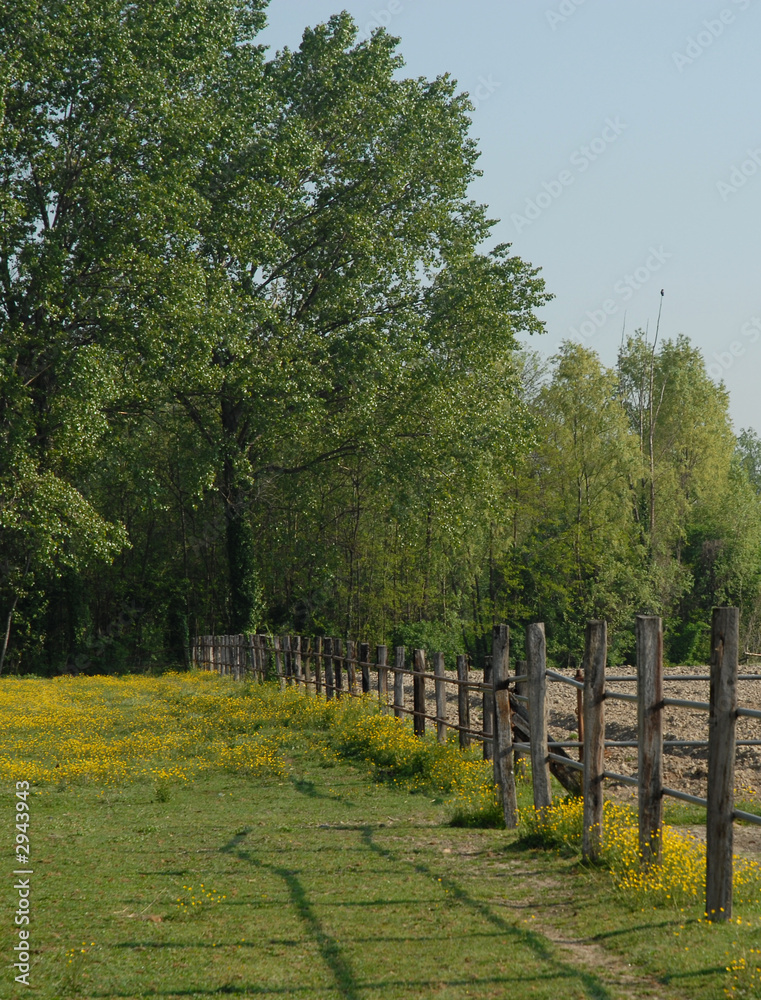 paesaggio campestre