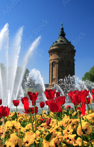 frühling
