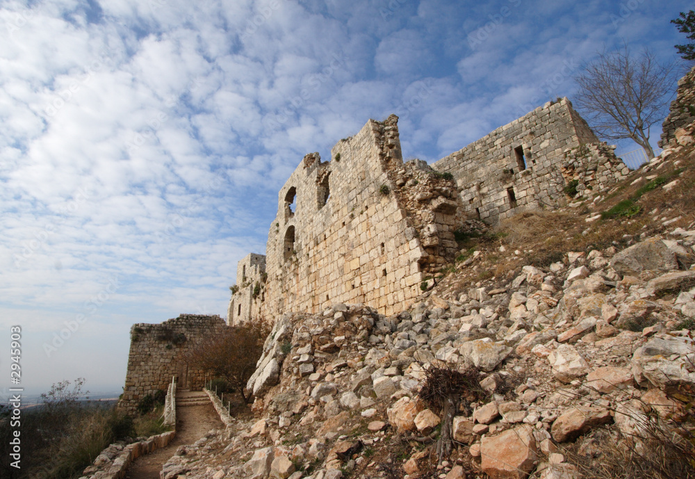 scenic ruins of old castle