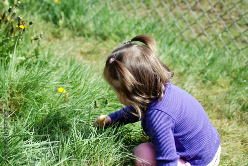 picking flowers photo