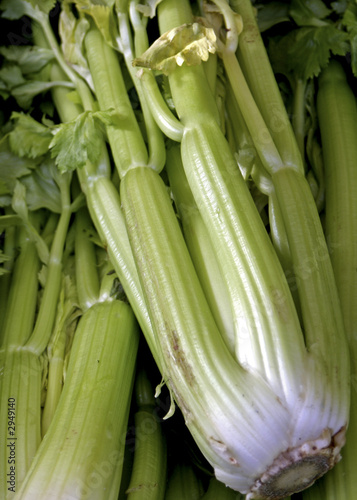 french market celery