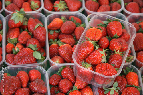 strawberries in plastic trays