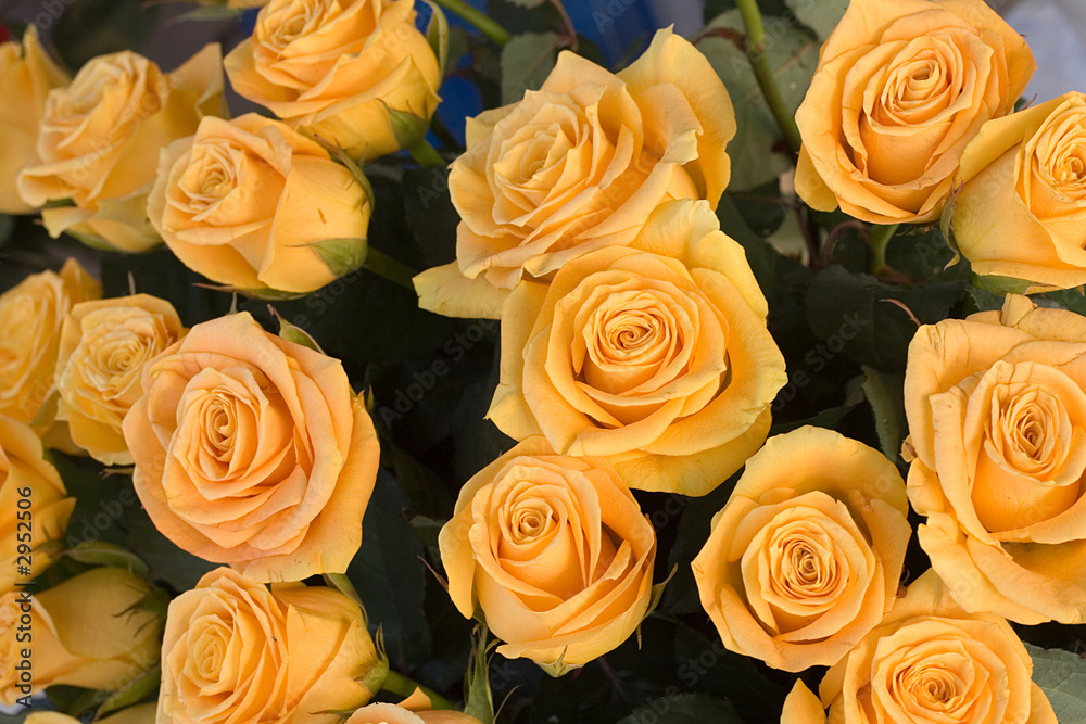 wedding bouquet, bunch of yellow roses flowers wedding bouquet, bunch of yellow roses flowers