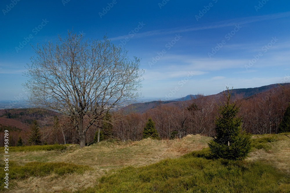 beskidy - polish mountain