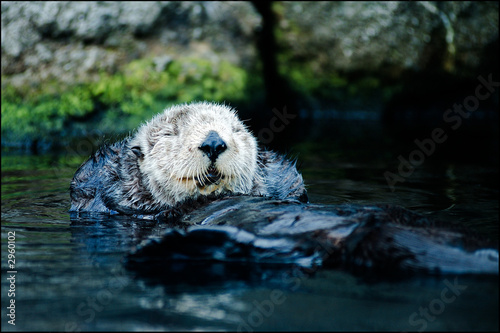 total relaxation