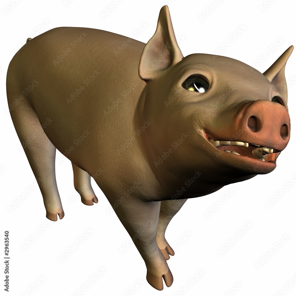 Obraz premium ferkel