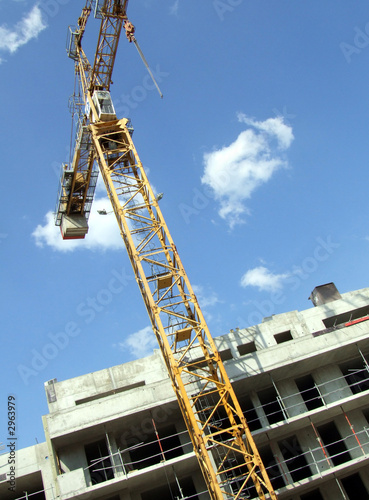 photo d'une grue