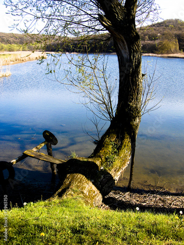 a fish-pond and a wood
