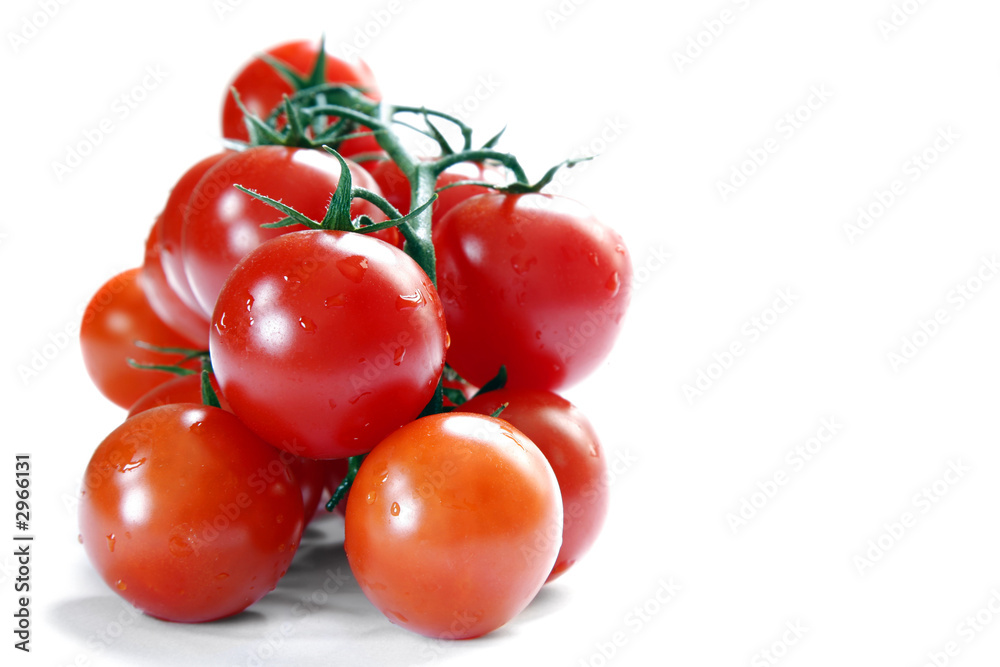 tomates tomates