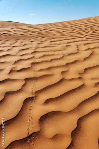 desert