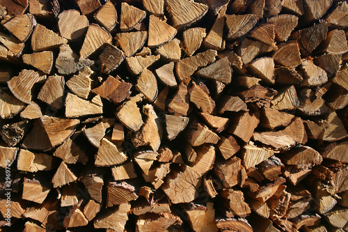 holzvorrat photo