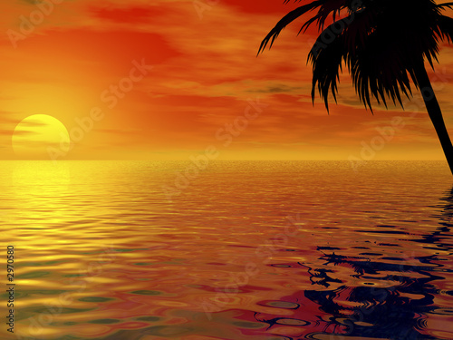 palms and sun