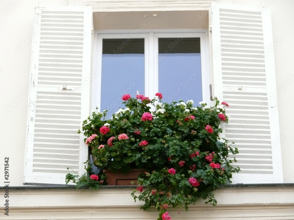 fenêtre fleurie rose et blanc.