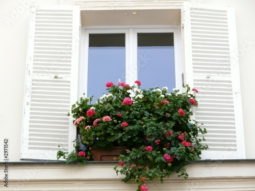 fenêtre fleurie rose et blanc. © Bruno Bleu