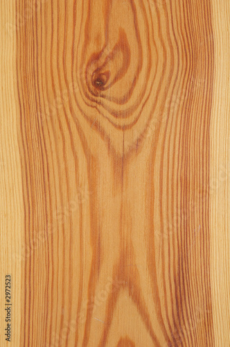 wooden texture - pine