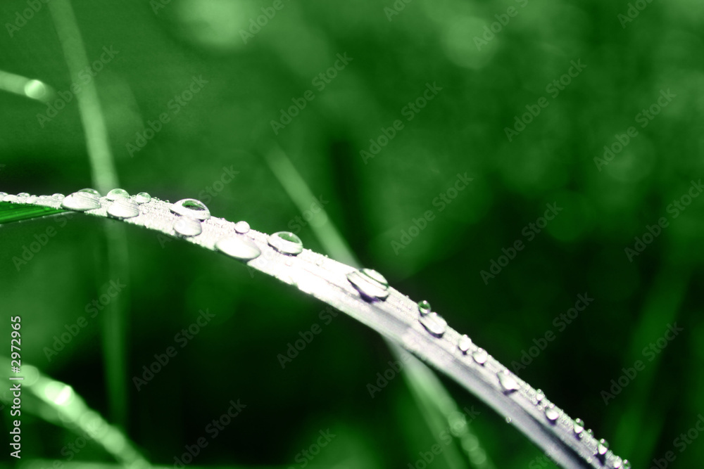 wassertropfen wassertropfen