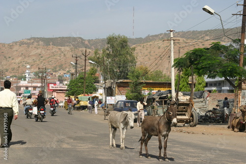 Photos India Donkey