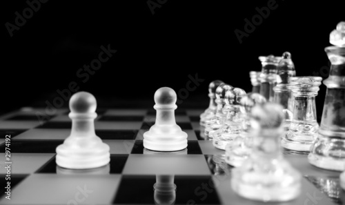 chess - the brave two