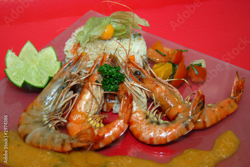 gambas3