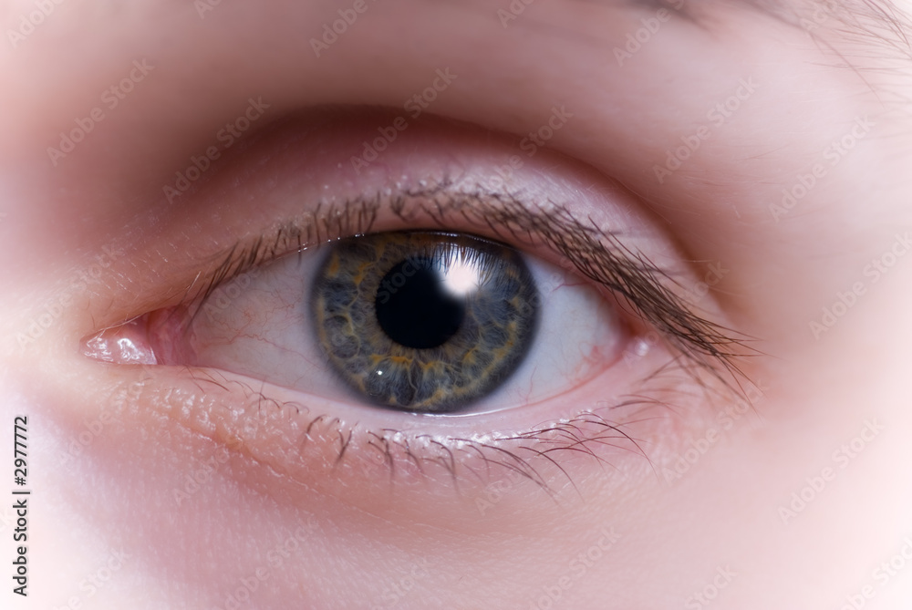 Fototapeta premium eye