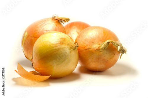 oignons
