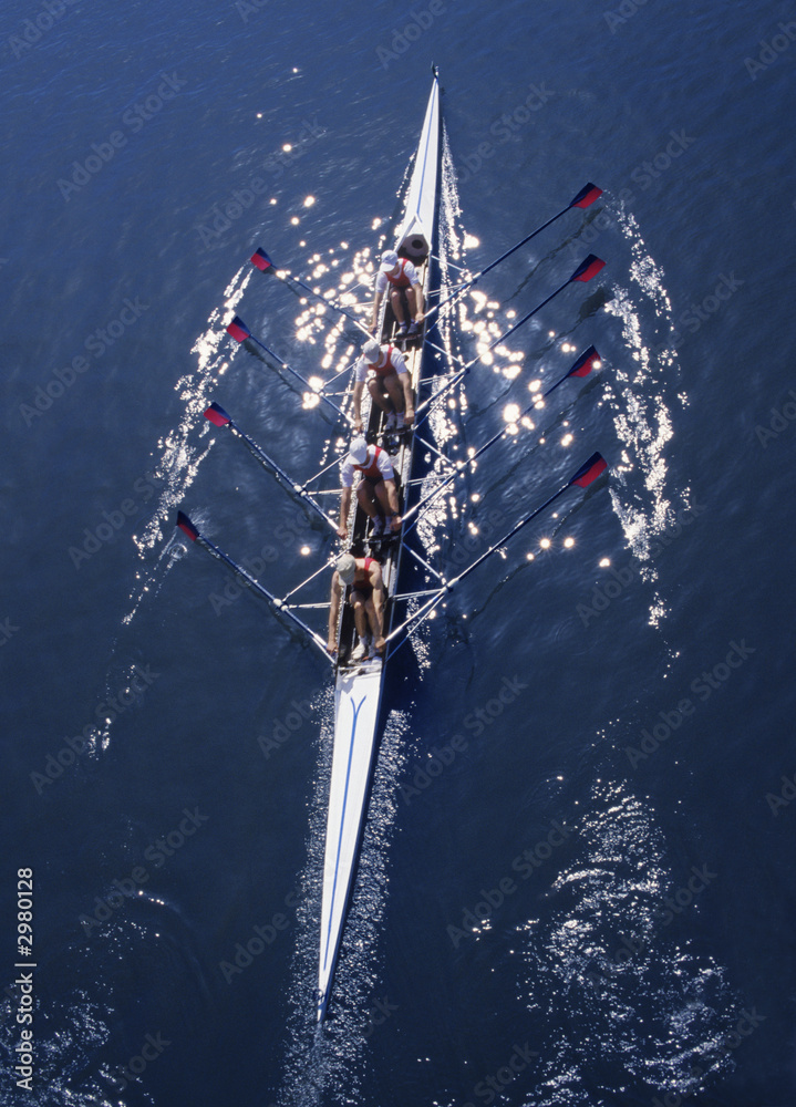 Fototapeta premium rowing-34c