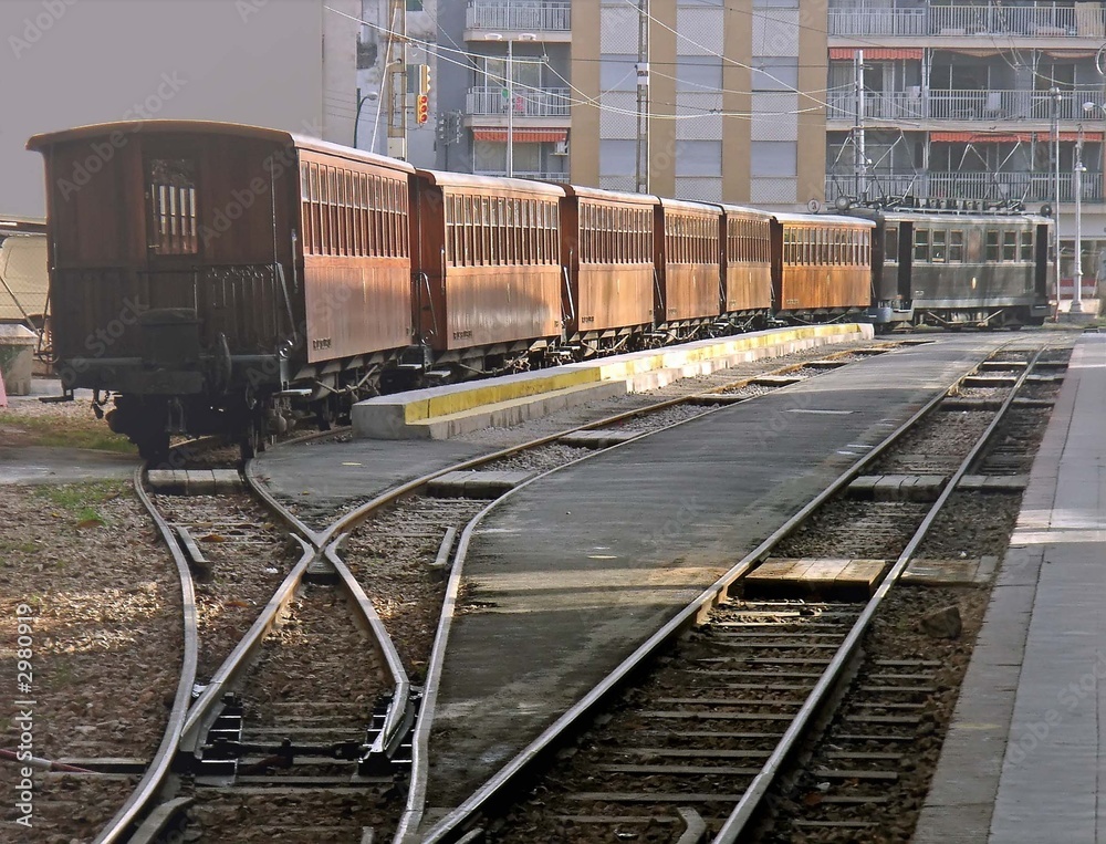 Fototapeta premium morning train