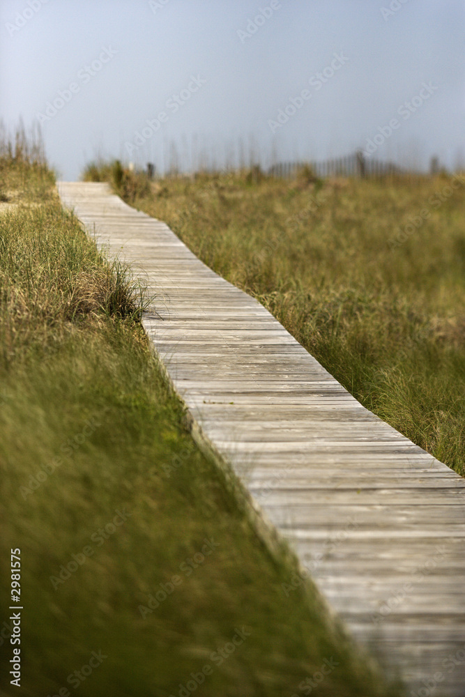 Path to beach on Bald Head Island, North Carolina.