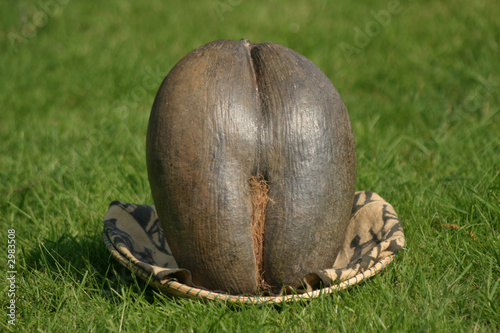 coco01