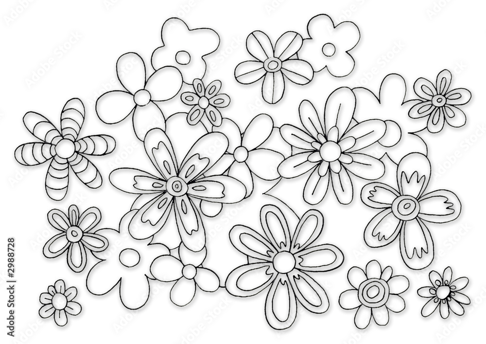 fleurs noir et blanc fleurs noir et blanc