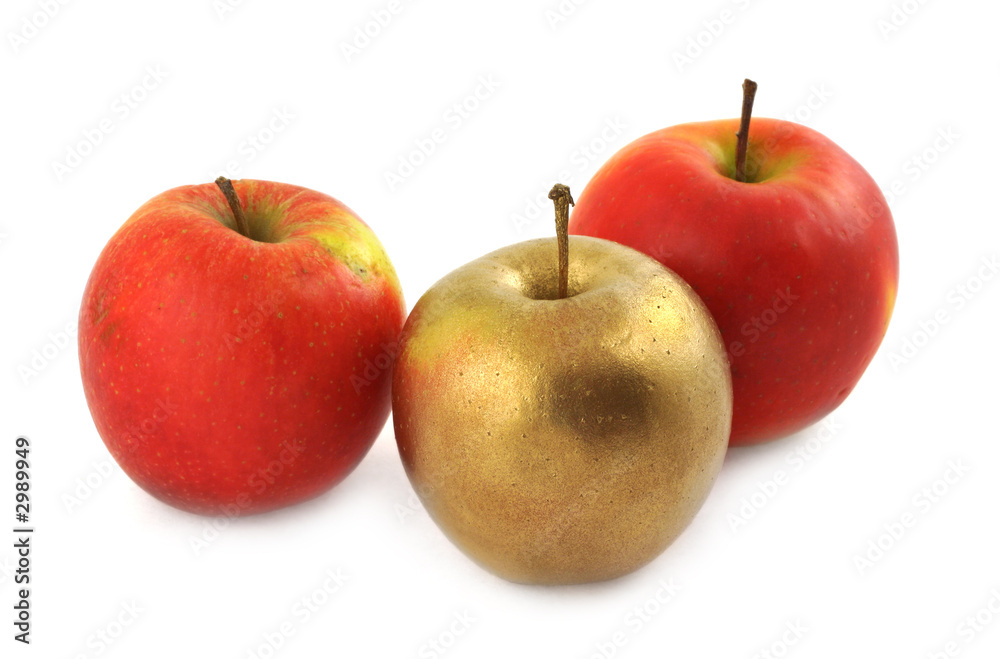 precious individualist precious individualist
