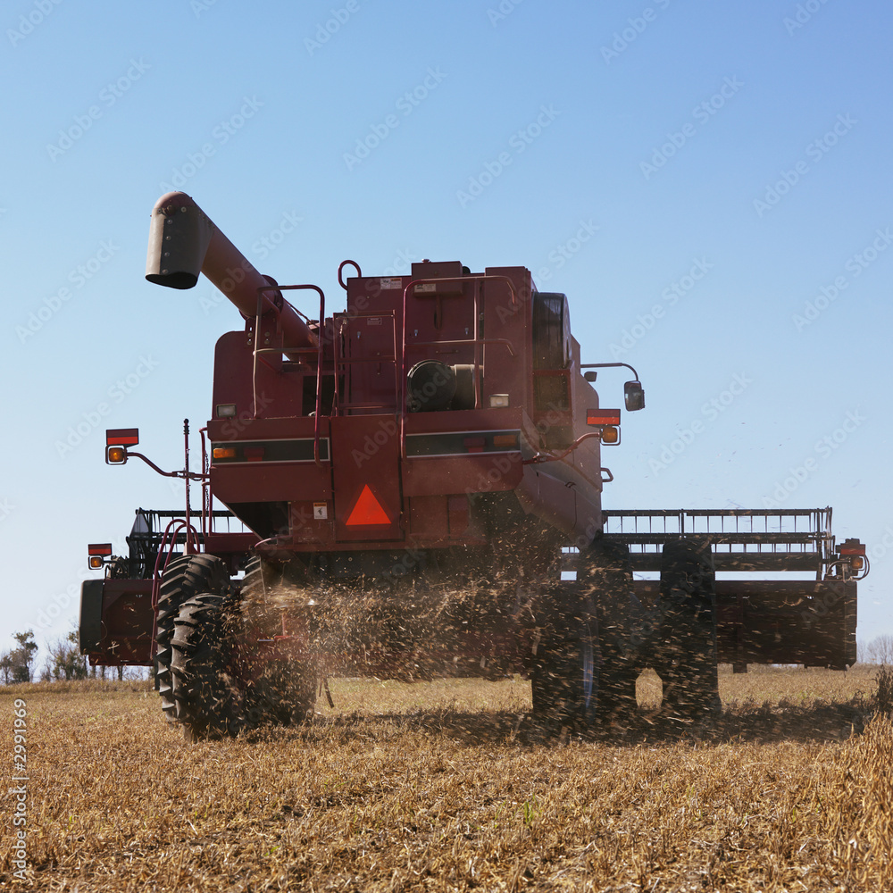Fototapeta premium combine harvesting soybeans.