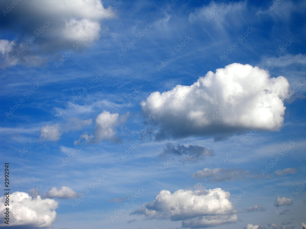 Obraz premium texture. background