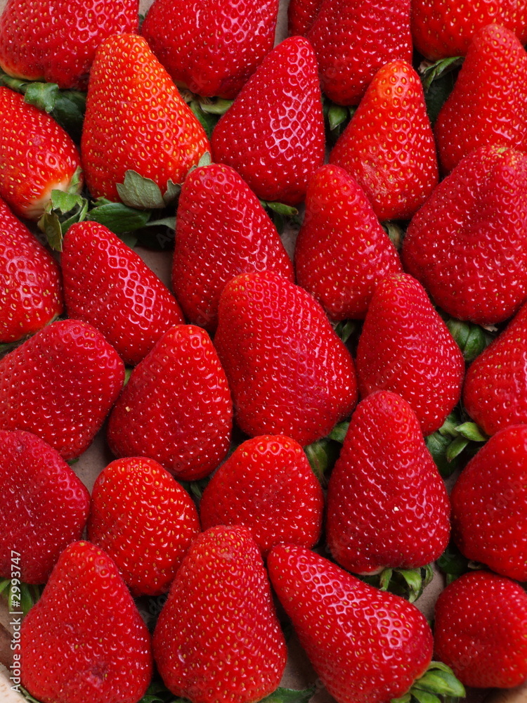 erdbeeren erdbeeren