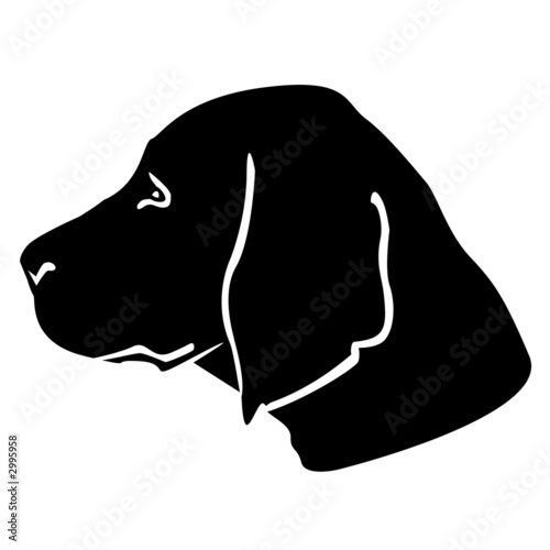 Fototapeta Naklejka Na Ścianę i Meble -  dog