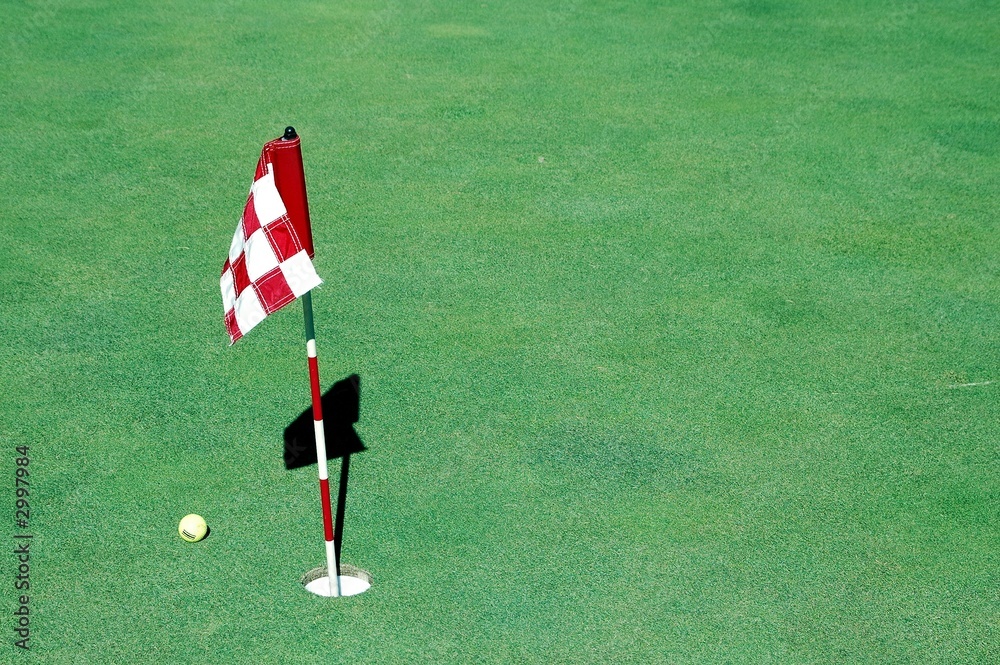 Obraz premium putting practice hole