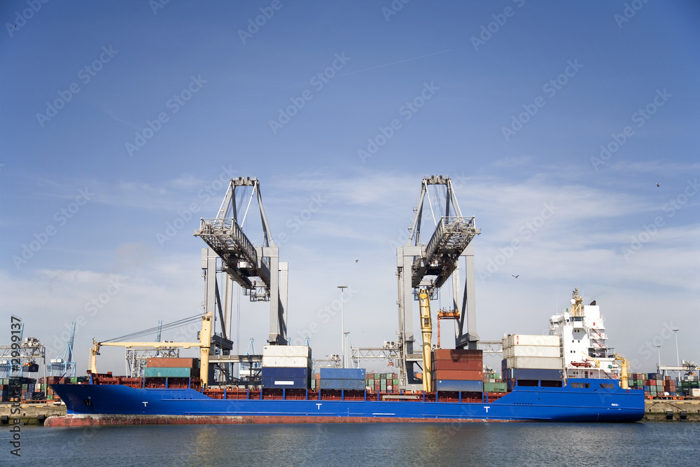 cranes and carriers 8