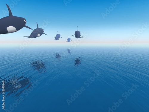 the race