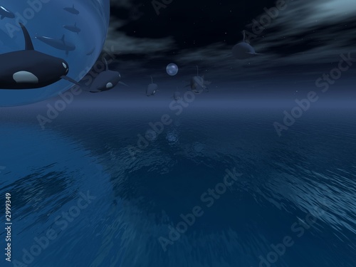 fly to the moon