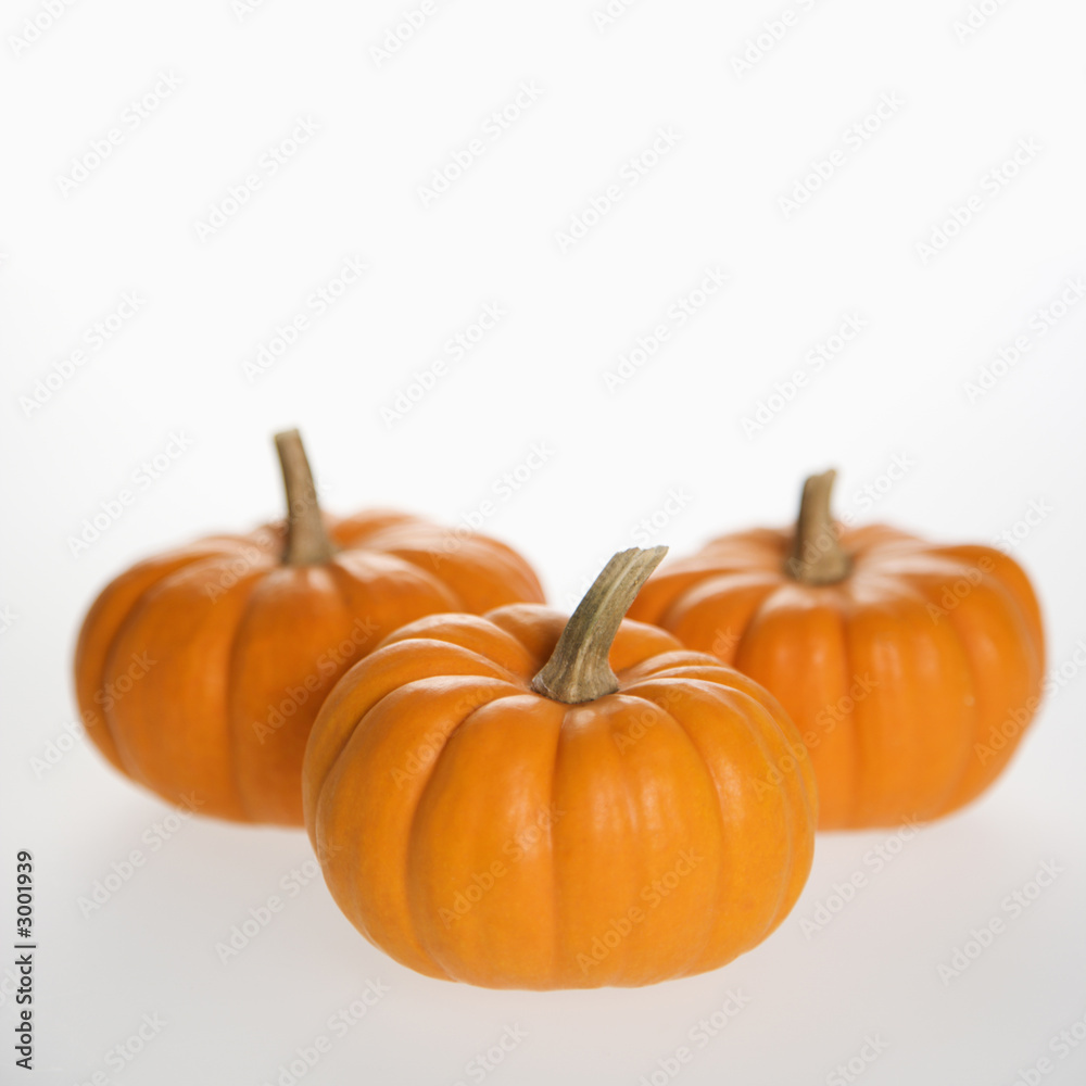 Obraz premium three pumpkins on white.