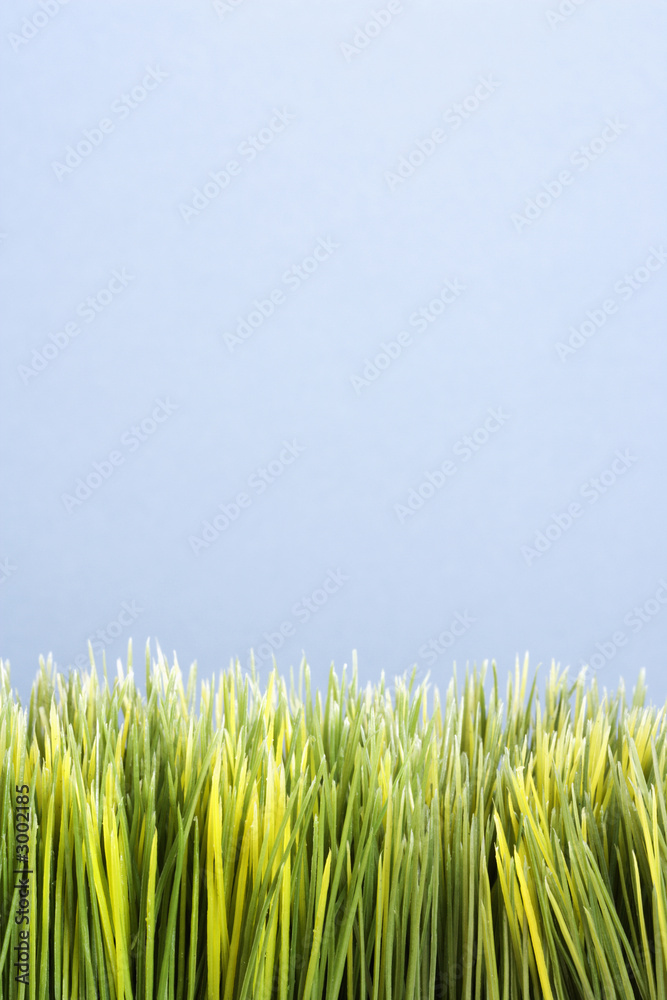 Fototapeta premium strip of artificial green grass.