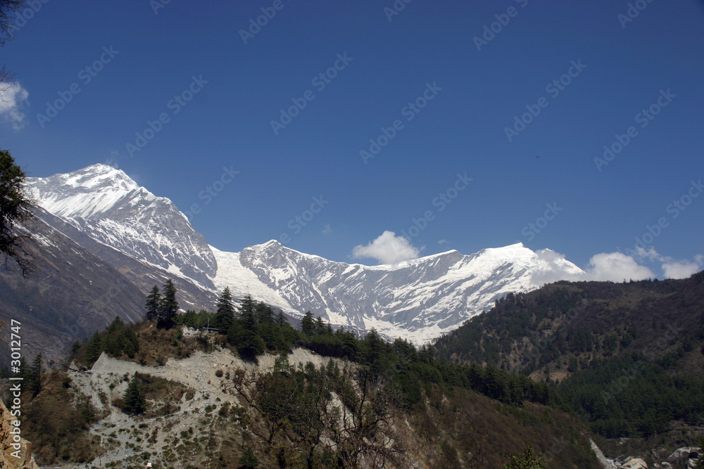 Fototapeta premium nepal trekking