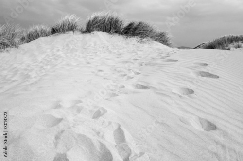 sand dunes