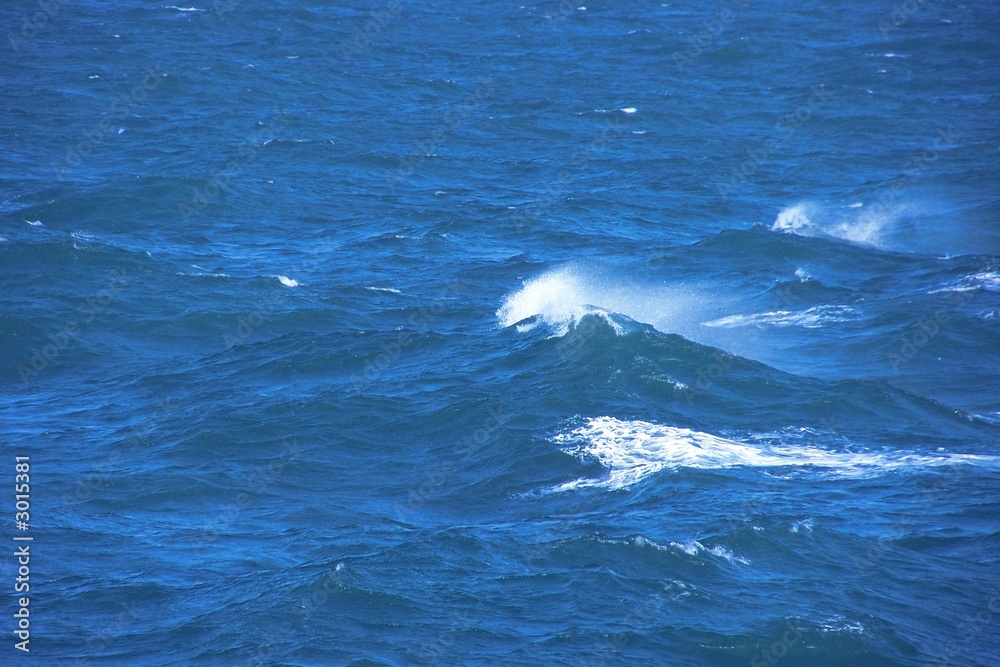 Naklejka premium waves on the sea