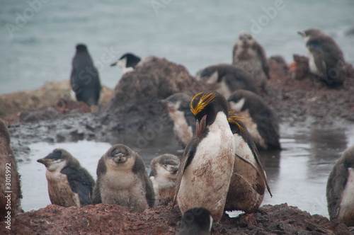 Canvas Print emigrants