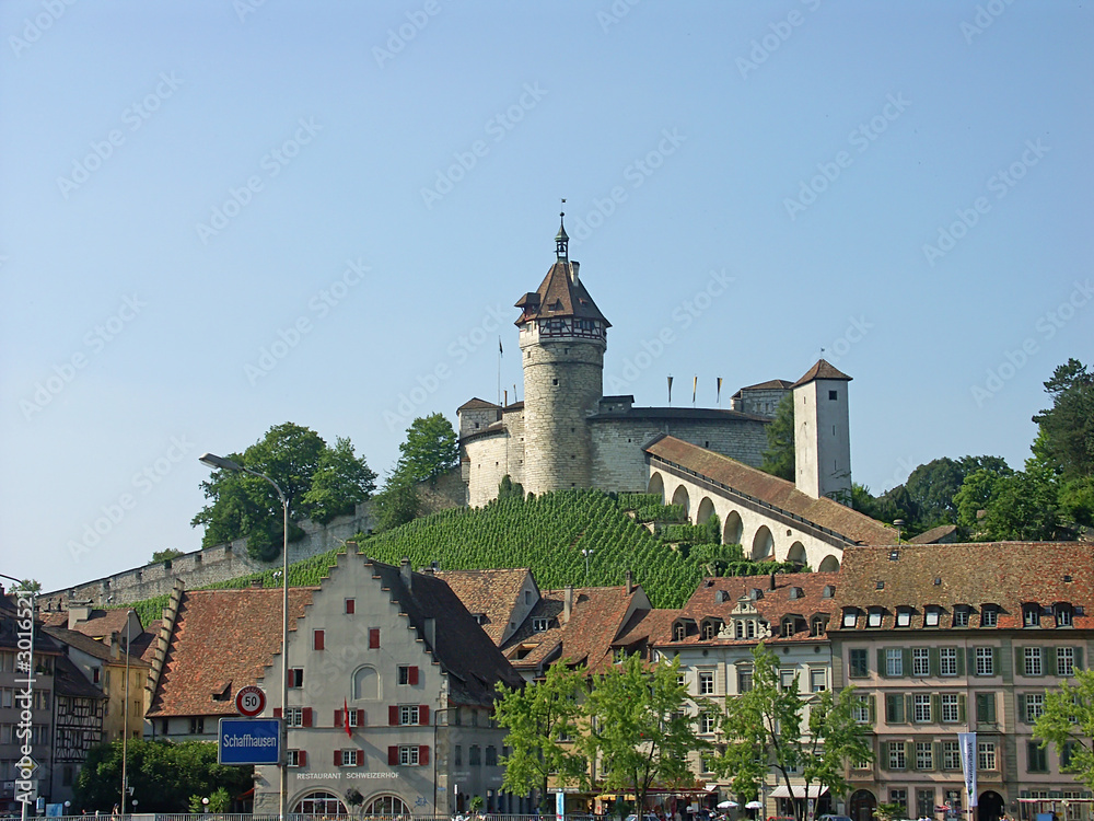 castle (schaffhausen)