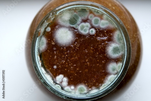 mold in jam of raspberries photo