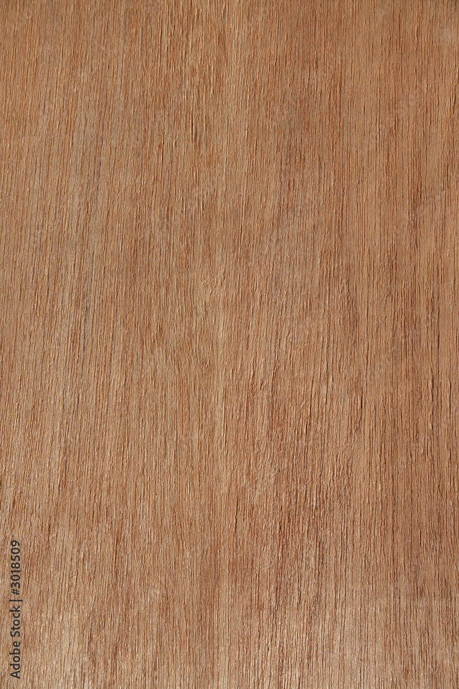 texture of a wooden panel texture of a wooden panel