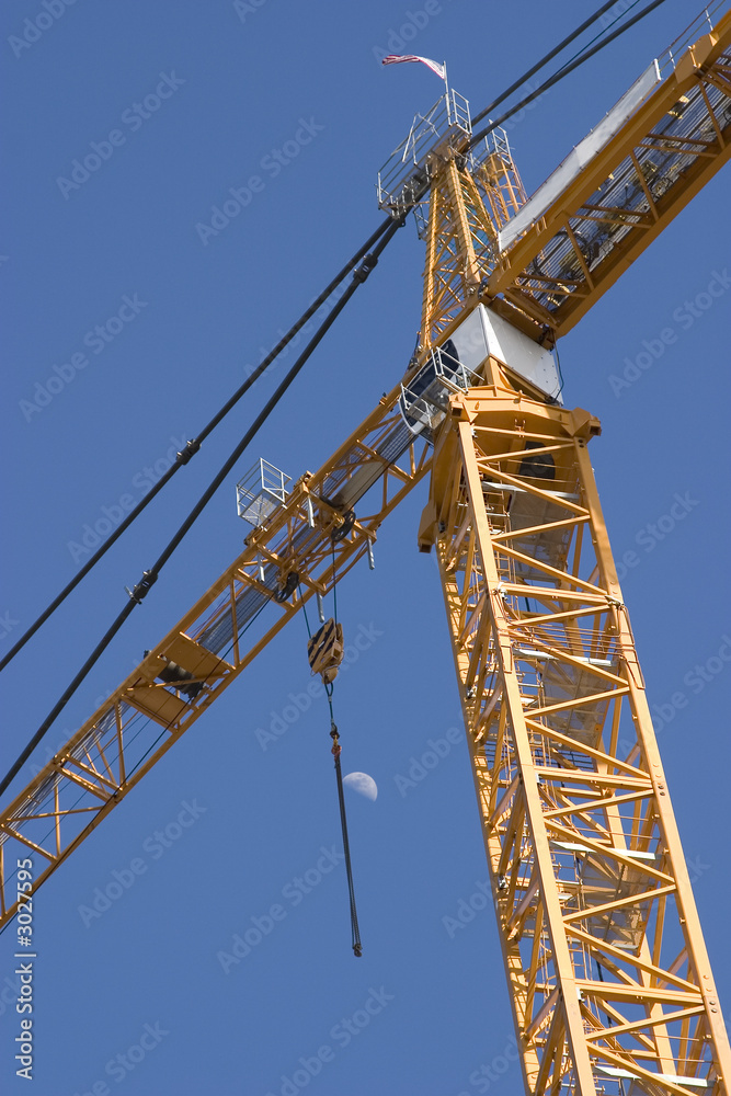 crane and moon